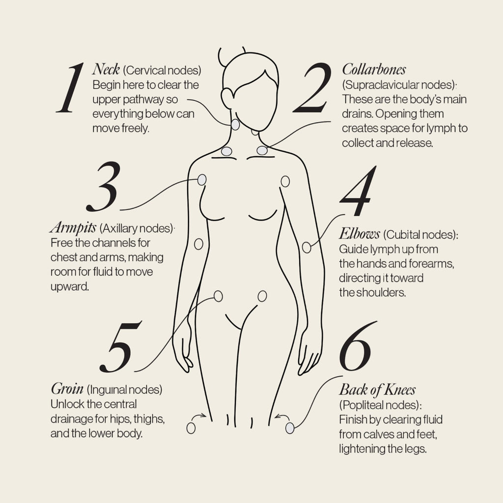 Esker Lymphatic Drainage Dots