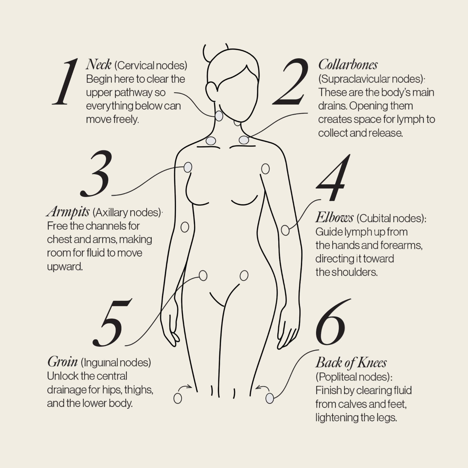Esker Lymphatic Drainage Dots