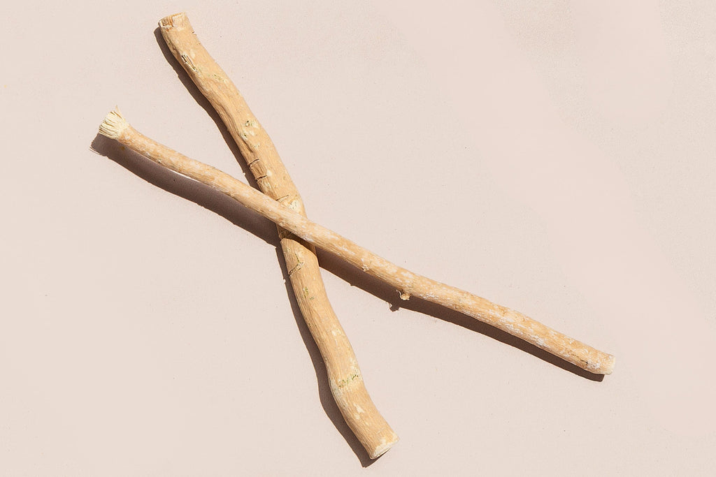 Remo Organic Miswak Twig