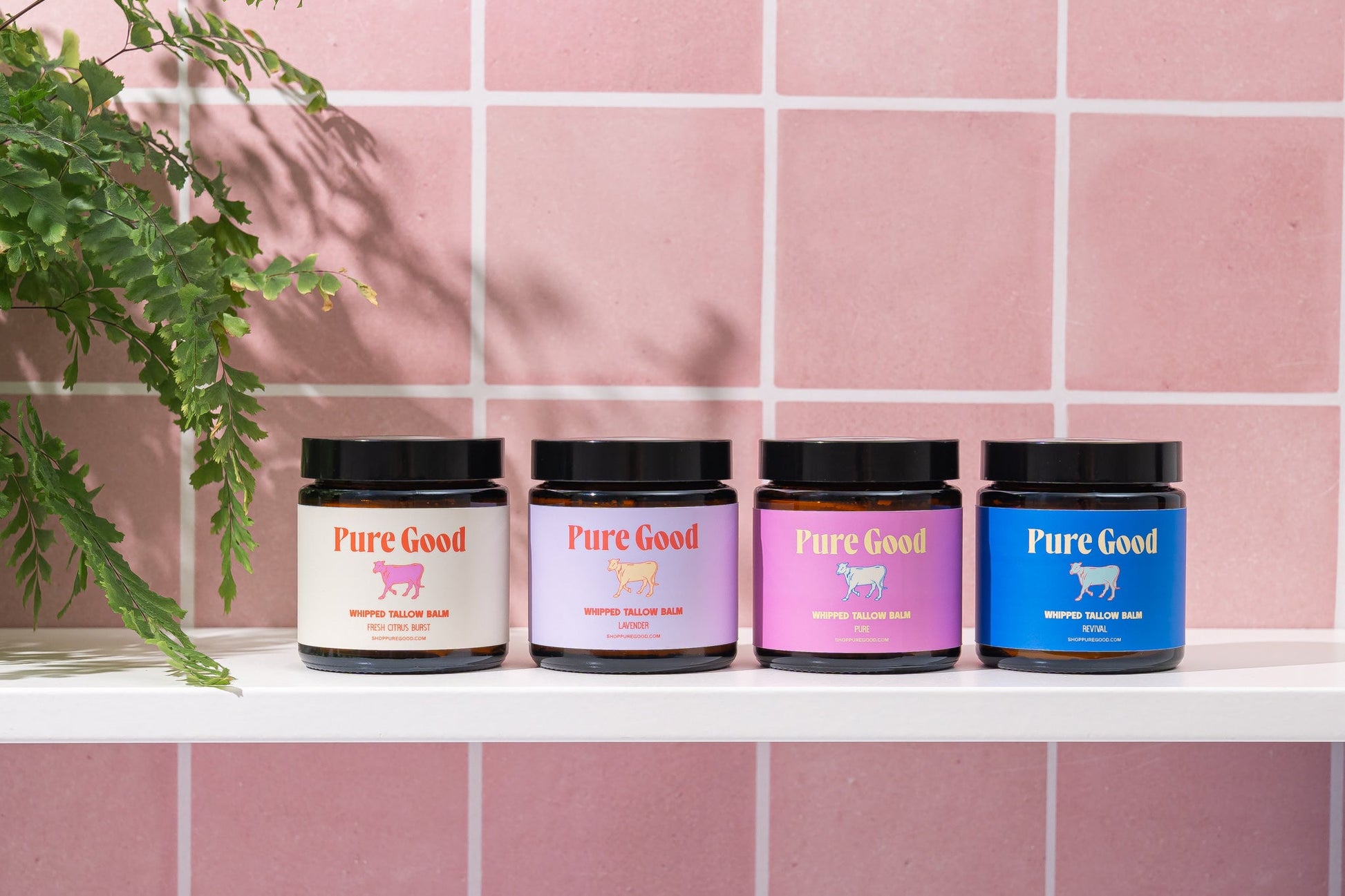 Sampler Set — product image on white background