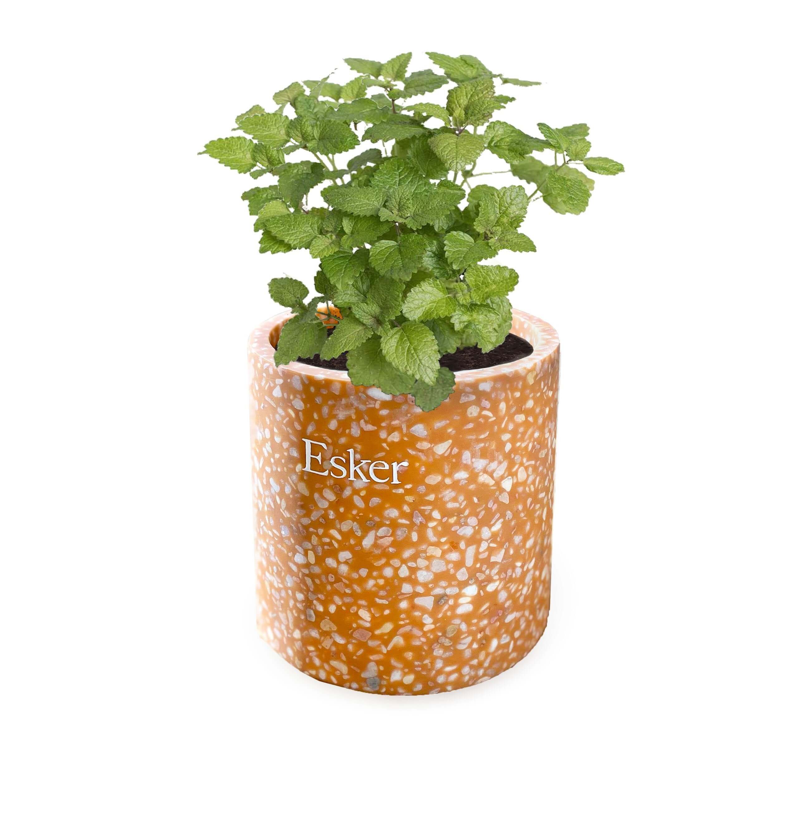 Esker Terracotta Plantable Soy Candle